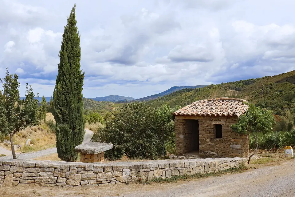 Une petite cabane de vigne en pierre sèche coiffée de tuiles, près d'un cyprès, au bord d'un chemin entre les vignes