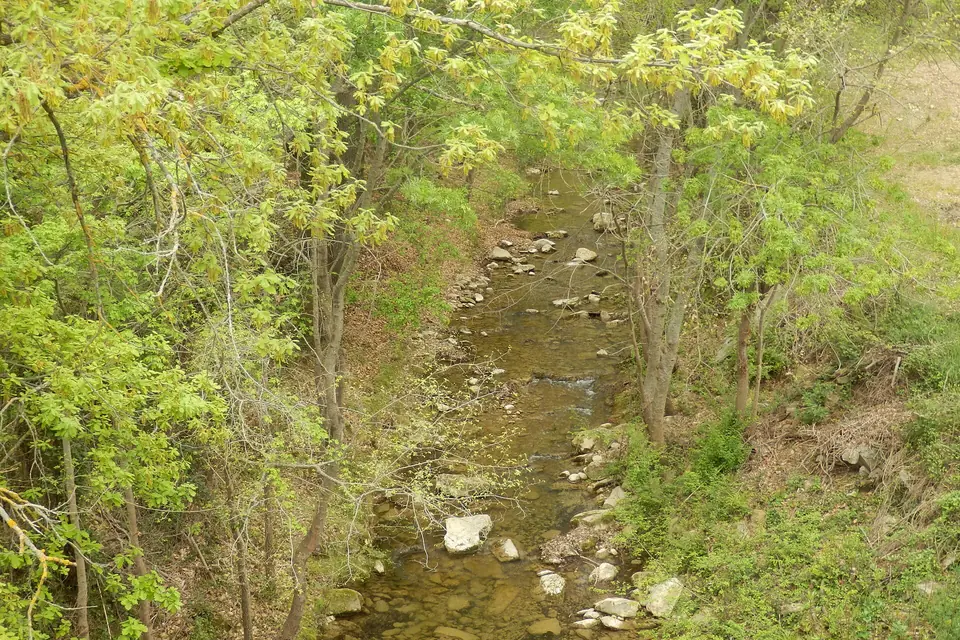 Un petit ruisseau au lit de galets, à sec en partie, bordé d'arbres au feuillage de printemps