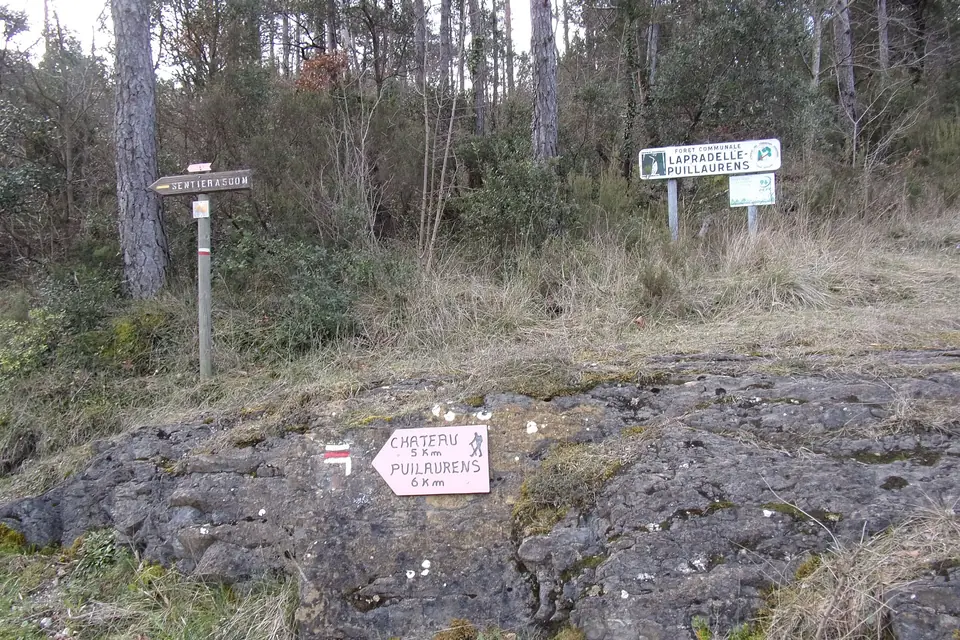 Panneaux indicateurs de randonnée à un col boisé de pins, au-dessus d'une dalle rocheuse portant une indication peinte